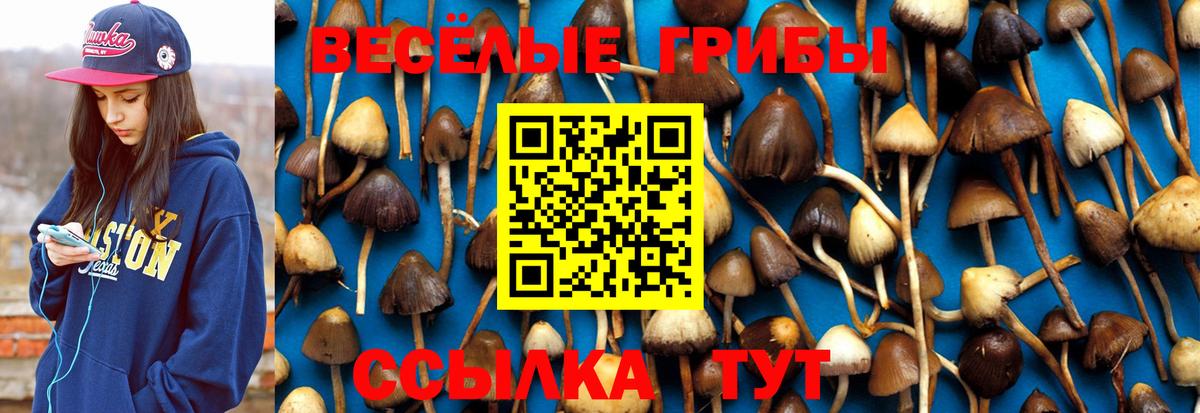 Псилоцибиновые грибы Magic Shrooms  Псилоцибиновые грибы ЛСД  Тимашёвск  Вход с VPN 